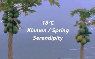 昆明到广西北海自驾游攻略