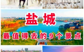 盐城必玩景点有哪些？