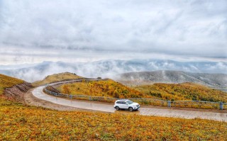 周边自驾游去哪儿玩？