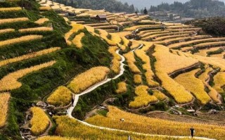 云和梯田旅游攻略自驾游