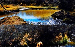 塞罕坝森林公园怎么玩？攻略必看景点有哪些？