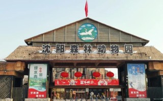 沈阳野生动物园自驾游怎么玩最尽兴？