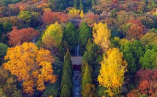 南京有哪些必游景点？