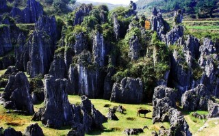 贵州思南有哪些必游景点？