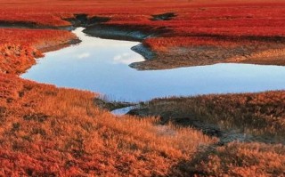 辽宁盘锦红海滩旅游攻略