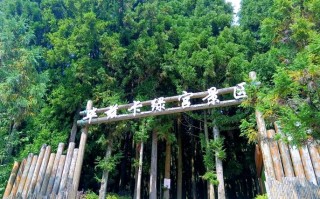 石柱黄水森林公园自驾怎么玩最尽兴？