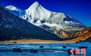 四川甘孜州哪些景点免费开放？