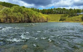 长春到阿尔山自驾游，路线怎么规划最省心？