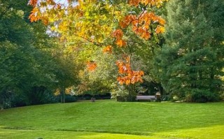 德国 Essen 必玩景点有哪些？