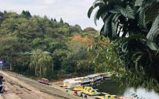 德阳一日游自驾，哪些景点最值得去？