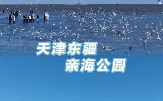 天津周边200公里自驾游，有哪些必去小众地？