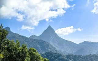 尖峰岭国家森林公园怎么玩最省心？