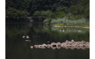 杭州周边一小时自驾游有哪些好去处？