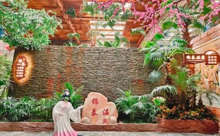 锦泰温泉双人自驾套票含哪些项目？