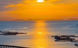 2025大陈岛旅游攻略有哪些必打卡？