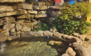 北京岱岳温泉自驾游团购价多少？