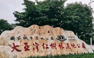 惠州大亚湾有哪些必打卡景点？