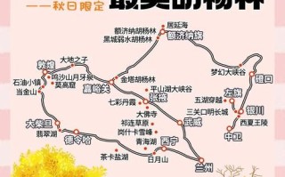 额济纳胡杨林自驾怎么玩？攻略精华有哪些？