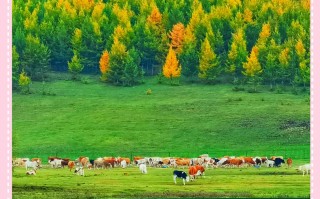 十月适合去哪里自驾游