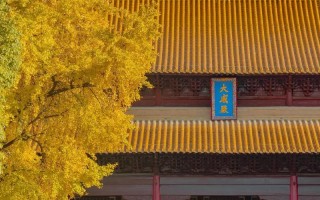 南京11月必游景点有哪些？