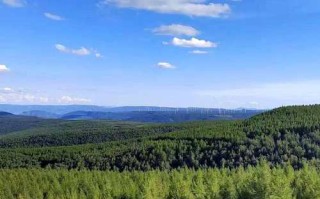 塞罕坝2025旅游怎么玩最尽兴？