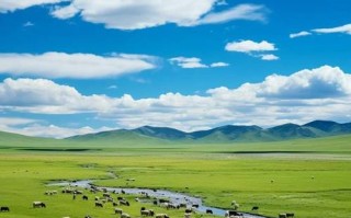 内蒙古大草原旅游景点图片