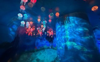 萤火虫水洞2日自驾游怎么安排更尽兴？