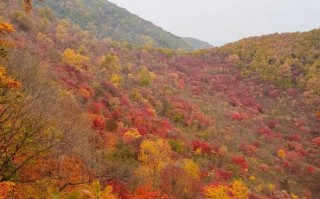 辽宁哪里赏枫叶好？