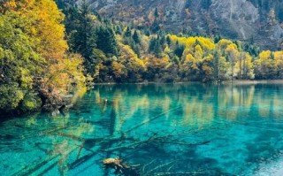 九寨沟必玩景点有哪些？