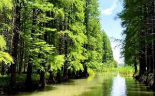 江苏金湖一日游有哪些必打卡景点？