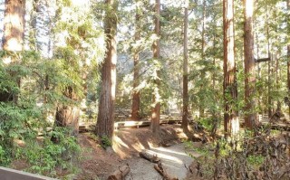 redwood旅游怎么玩？必打卡景点有哪些？