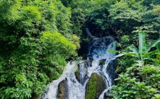 南宁凤凰旅游必打卡有哪些？