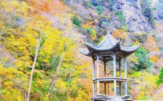 汉中周边有哪些值得一游的景点？