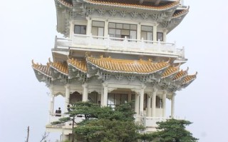 自驾游南岭国家森林公园，有哪些必打卡景点？