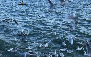 云南昆明旅游景点有哪些