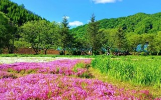 8月吉林市周边自驾游去哪玩？