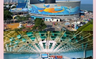 青岛极地海洋世界怎么玩最尽兴？