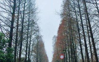 长沙县有哪些必打卡的宝藏景点？