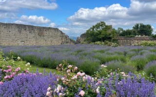 Sheffield旅游怎么玩最地道？