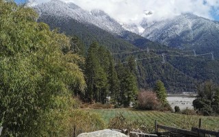 林芝必游景点有哪些？