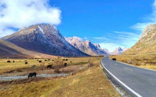 2025川藏线自驾游，路况攻略有啥新变化？