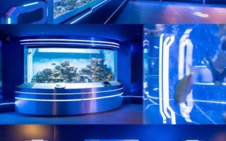 圣亚海洋世界自驾游怎么玩最省心？