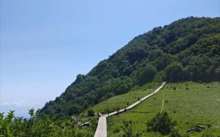 百花山自驾一日游怎么安排才最省心？