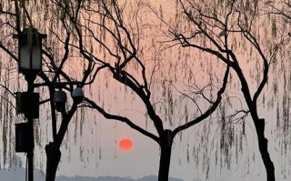 杭州冬天去哪儿玩？有哪些景点值得逛？