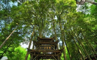 青城山老君阁自驾两日怎么玩？