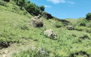 云南昭通大山包怎么玩？攻略有哪些？