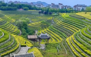 毕节大方县有哪些必游景点？