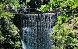 大奇山国家森林公园旅游攻略