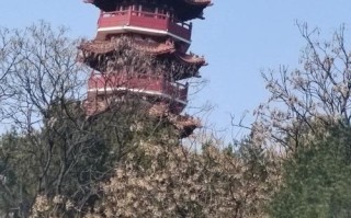 徐州云龙山风景区怎么玩最省心？