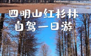 宁波周边一日游景点怎么选？